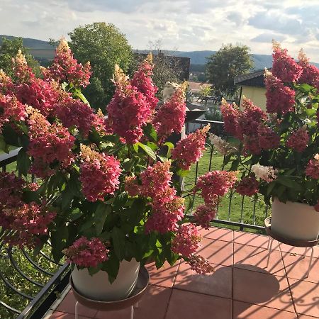 Haus Buena Vista Hotell Bad Kissingen Exteriör bild