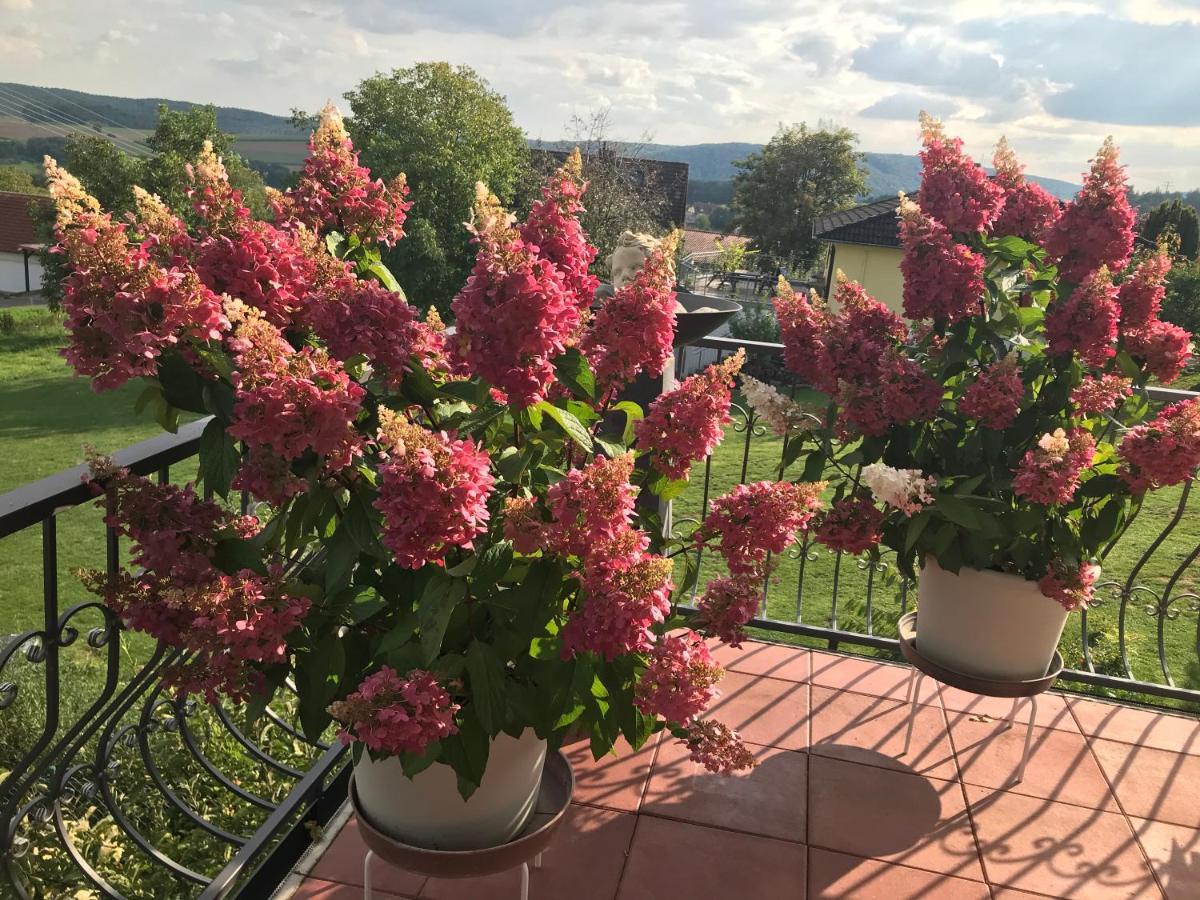 Haus Buena Vista Hotell Bad Kissingen Exteriör bild