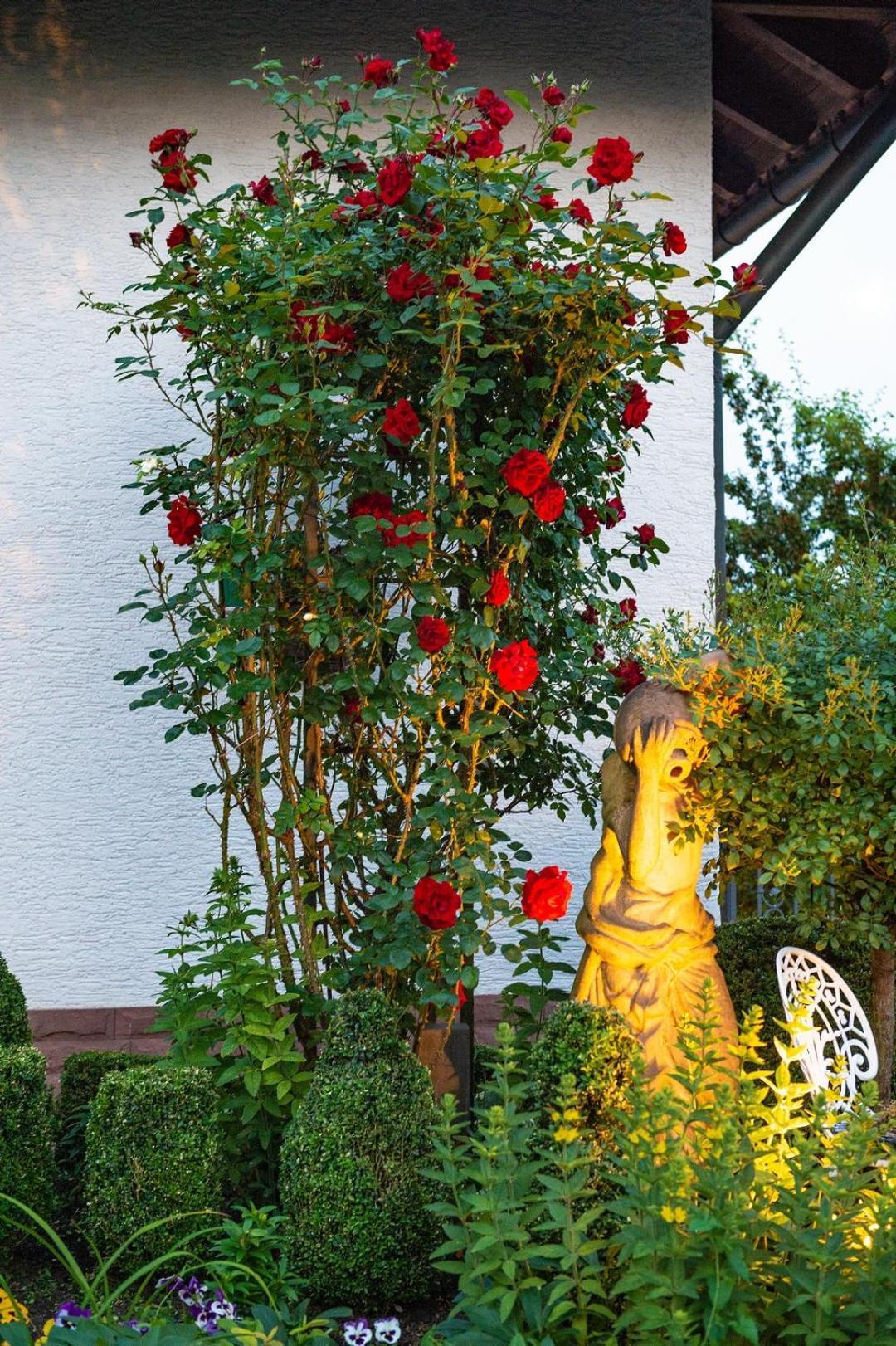 Haus Buena Vista Hotell Bad Kissingen Exteriör bild